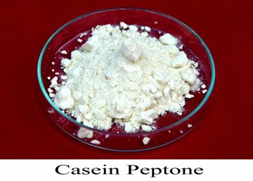 CASEIN PEPTONE