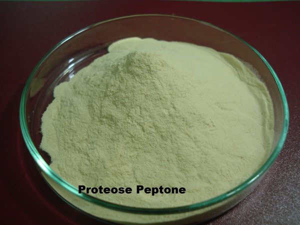 PROTEOSE PEPTONE