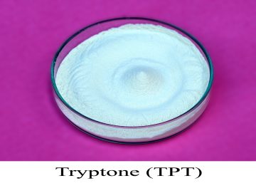 TRYPTONE